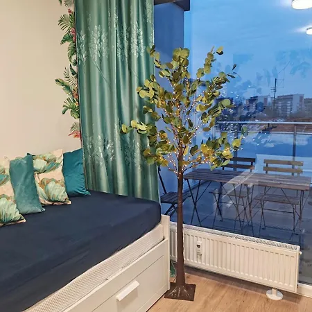 Star #3d315 By Starbnb Eu